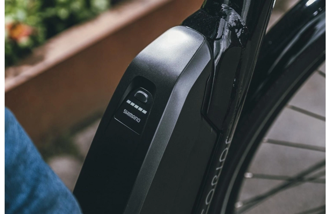 Elcykel Ecoride Ambassador 28 AXS M-5 E5 Dam Svart 8 Elcykel Ecoride Ambassador 28 AXS M-5 E5 Dam Svart - Bild 6