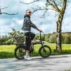 Hopfällbar Elcykel Ecoride Flexer 20 HS Fold M-9 Brun -Cyklar affär 366 bn10 8