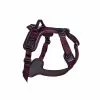 Hundsele Non-Stop Dogwear Ramble Harness Lila -Cyklar affär 68971 1 Purple 4 1 1