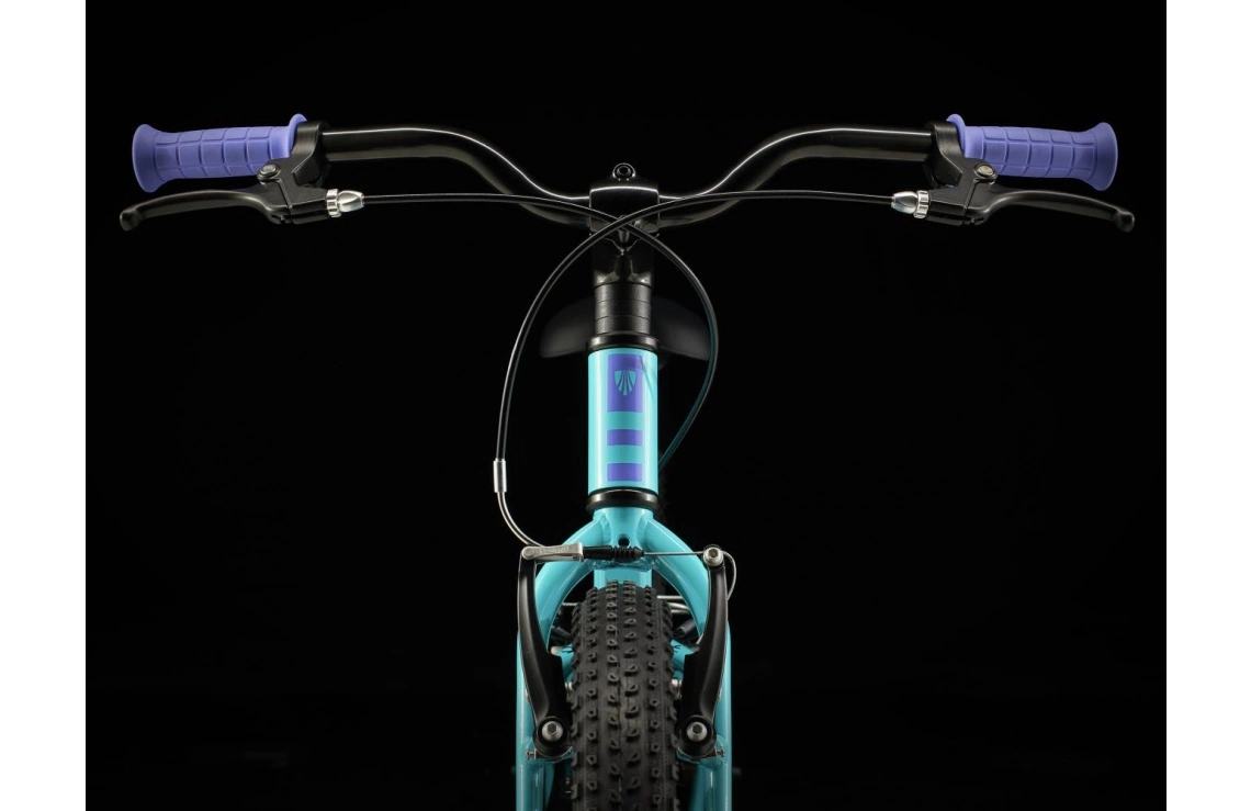 Barncykel Trek Precaliber 20 Grön 7 Barncykel Trek Precaliber 20 Grön - Bild 5