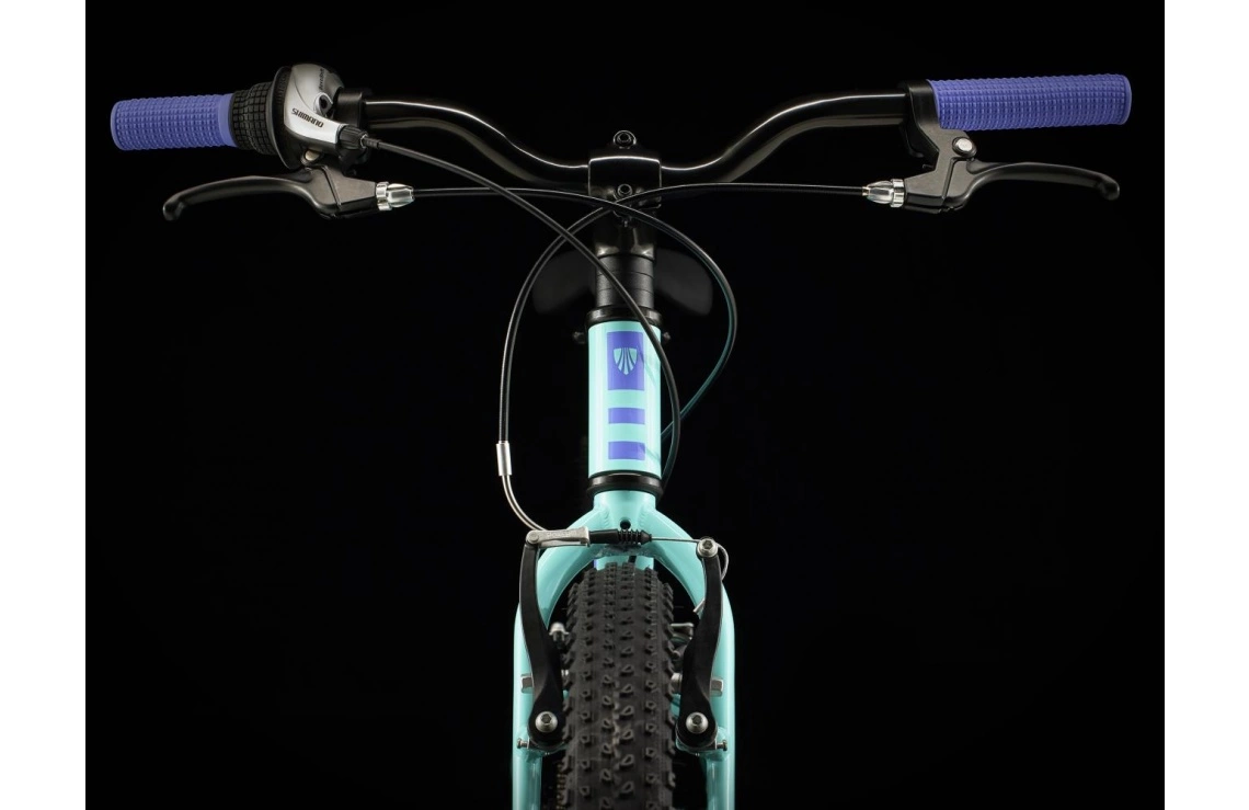 Barncykel Trek Precaliber 24 8-växlad Grön 7 Barncykel Trek Precaliber 24 8-växlad Grön - Bild 5