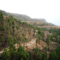 Gravelbike Orbea Terra H30 1X Svart 11 Gravelbike Orbea Terra H30 1X Svart -Cyklar affär Terra Action Landscape 220 20Small