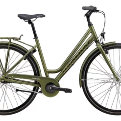 Damcykel Green Winther 1 Grön