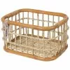 Korg Basil GreenLife Rotan L Brun
