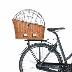 Korg Basil Rear Pasja MIK M Brun