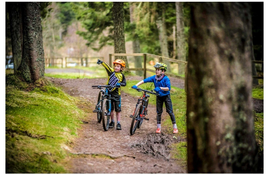 Frog Bikes Barncykel Frog MTB 62 Gr 6 Frog Bikes Barncykel Frog MTB 62 Gr - Bild 4