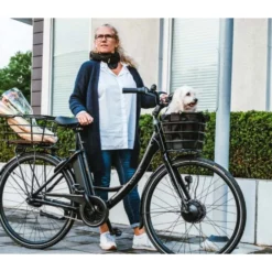 Elcykel Ecoride Ambassador 28 AXS H-7 Dam Svart -Cyklar affär c100 ambassador axs h8 front 28 black scaled 1600x900 1