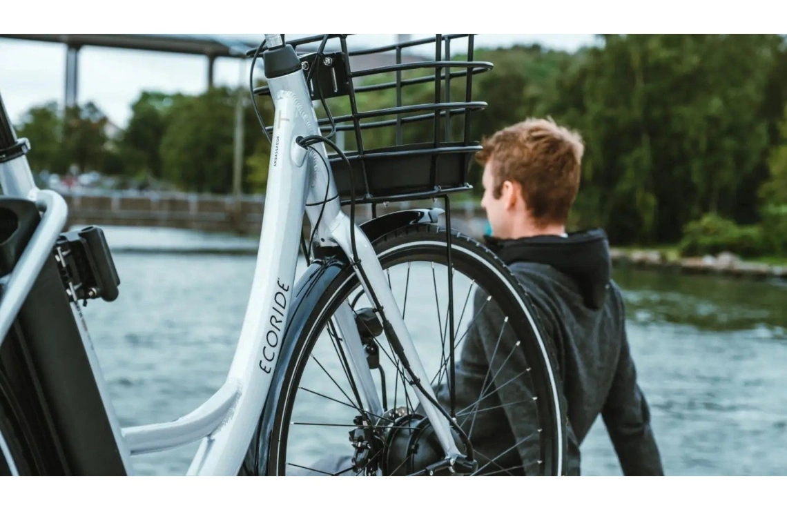 Elcykel Ecoride Ambassador 28 AXS H-7 Dam Silver 5 Elcykel Ecoride Ambassador 28 AXS H-7 Dam Silver - Bild 3