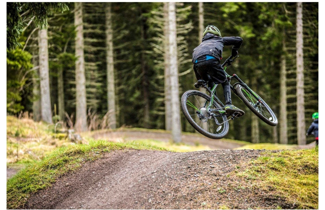 Frog Bikes Barncykel Frog MTB 69 Gr 6 Frog Bikes Barncykel Frog MTB 69 Gr - Bild 4