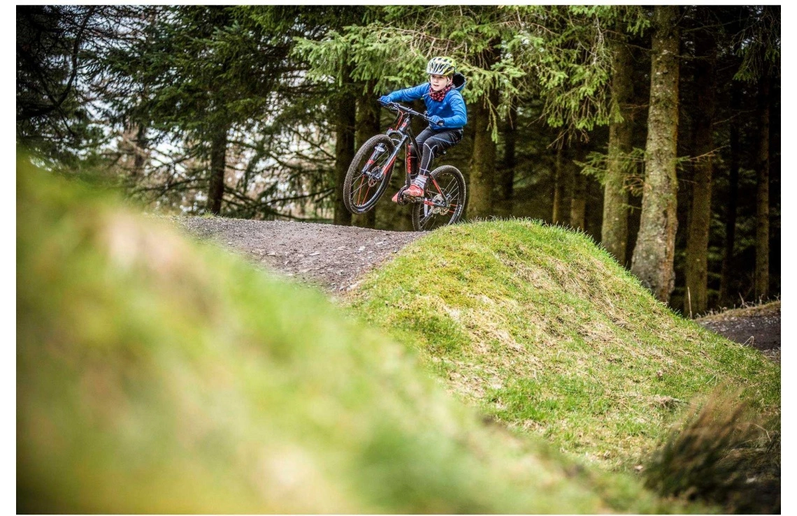 Frog Bikes Barncykel Frog MTB 62 Gr 5 Frog Bikes Barncykel Frog MTB 62 Gr - Bild 3