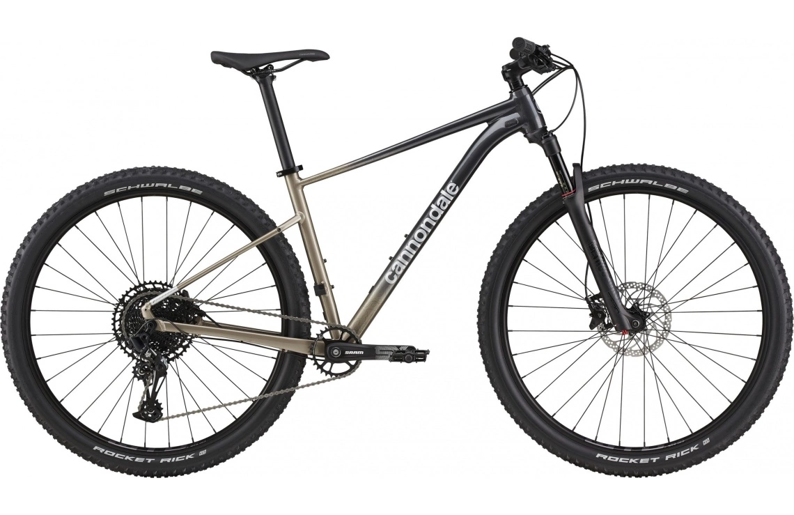MTB Cannondale Trail SL 1 Grå 3 MTB Cannondale Trail SL 1 Grå