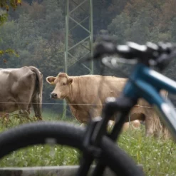 MTB Superior XF 919 RC -Cyklar affär xf 919 rc matte petrol silver 8